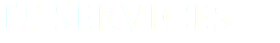 IT SERVICES