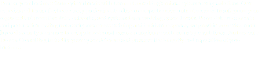 Protect your business from cyber threats with Lumen Consulting's robust cybersecurity solutions. Our experienced team of cybersecurity professionals offers a comprehensive suite of services to safeguard your organization's sensitive data, networks, and systems from evolving cyber threats. From risk assessments and penetration testing to security awareness training and incident response, we provide proactive, multi-layered security measures to mitigate risks and ensure compliance with industry regulations. Partner with Lumen Consulting to fortify your cyber defenses and preserve the integrity and reputation of your business. 